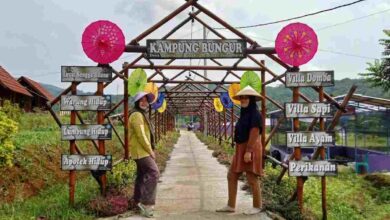 Kampung Bungur Jalatrang, Destinasi Agrowisata di Kabupaten Ciamis Jawa Barat